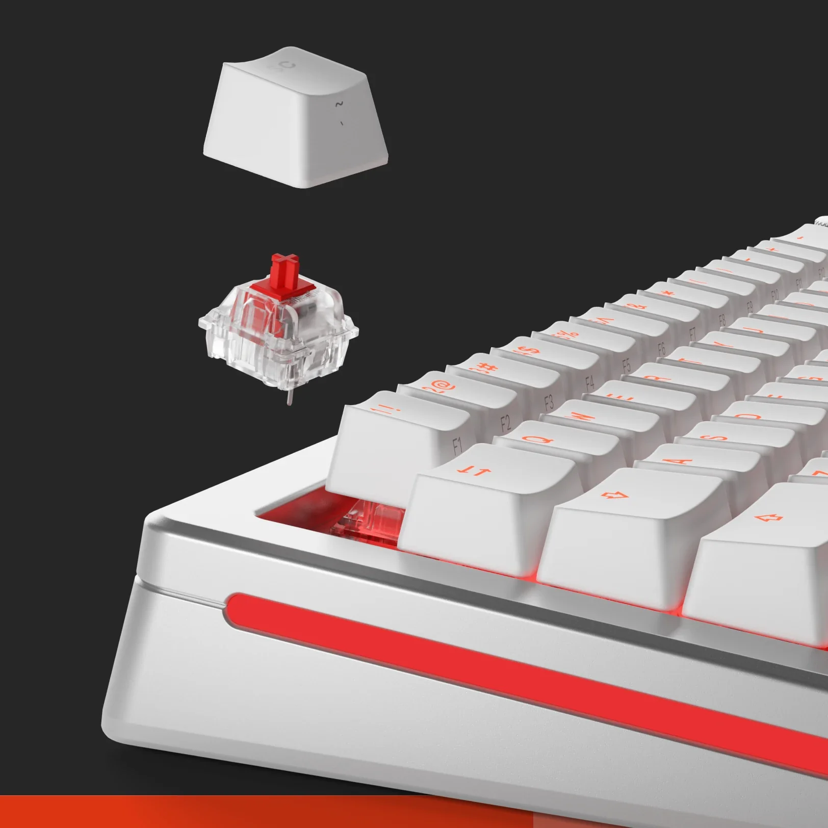 Fox Switches + Toy Bundle - Image 3